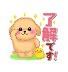 かわいいトイプードル❤️デカ文字（個別スタンプ：3）