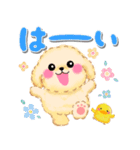 かわいいトイプードル❤️デカ文字（個別スタンプ：4）
