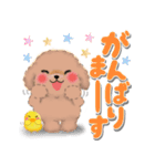 かわいいトイプードル❤️デカ文字（個別スタンプ：5）