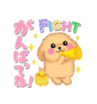 かわいいトイプードル❤️デカ文字（個別スタンプ：6）