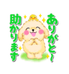 かわいいトイプードル❤️デカ文字（個別スタンプ：8）