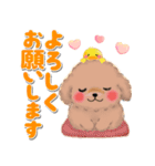かわいいトイプードル❤️デカ文字（個別スタンプ：9）