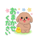 かわいいトイプードル❤️デカ文字（個別スタンプ：15）