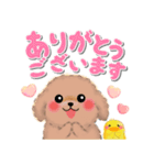 かわいいトイプードル❤️デカ文字（個別スタンプ：17）