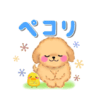 かわいいトイプードル❤️デカ文字（個別スタンプ：19）