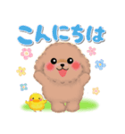 かわいいトイプードル❤️デカ文字（個別スタンプ：24）