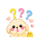 かわいいトイプードル❤️デカ文字（個別スタンプ：25）