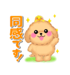 かわいいトイプードル❤️デカ文字（個別スタンプ：30）