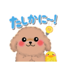 かわいいトイプードル❤️デカ文字（個別スタンプ：33）