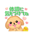 かわいいトイプードル❤️デカ文字（個別スタンプ：34）