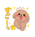 かわいいトイプードル❤️デカ文字（個別スタンプ：35）