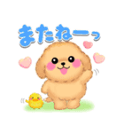 かわいいトイプードル❤️デカ文字（個別スタンプ：40）