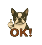 犬×シュールOK！スタンプ（個別スタンプ：7）