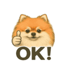 犬×シュールOK！スタンプ（個別スタンプ：9）