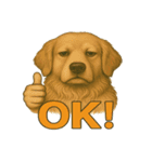 犬×シュールOK！スタンプ（個別スタンプ：11）