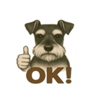 犬×シュールOK！スタンプ（個別スタンプ：12）