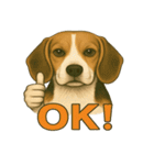 犬×シュールOK！スタンプ（個別スタンプ：13）