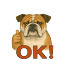 犬×シュールOK！スタンプ（個別スタンプ：15）