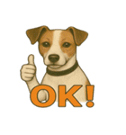 犬×シュールOK！スタンプ（個別スタンプ：16）