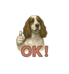 犬×シュールOK！スタンプ（個別スタンプ：21）