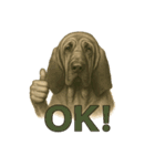 犬×シュールOK！スタンプ（個別スタンプ：23）