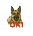 犬×シュールOK！スタンプ（個別スタンプ：25）