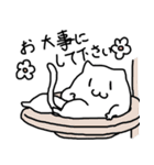 わりと使える猫2（個別スタンプ：32）