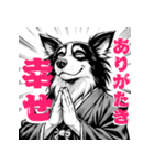 武士ボーダーコリーが参る！（個別スタンプ：3）