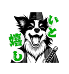 武士ボーダーコリーが参る！（個別スタンプ：5）