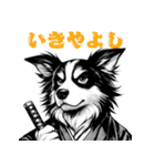 武士ボーダーコリーが参る！（個別スタンプ：6）