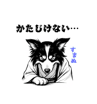武士ボーダーコリーが参る！（個別スタンプ：7）