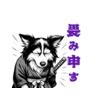 武士ボーダーコリーが参る！（個別スタンプ：10）