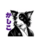 武士ボーダーコリーが参る！（個別スタンプ：13）