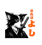 武士ボーダーコリーが参る！（個別スタンプ：14）