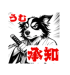 武士ボーダーコリーが参る！（個別スタンプ：15）