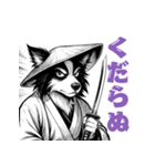 武士ボーダーコリーが参る！（個別スタンプ：16）