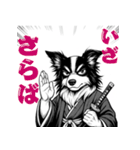 武士ボーダーコリーが参る！（個別スタンプ：17）