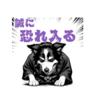 武士ボーダーコリーが参る！（個別スタンプ：18）