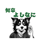 武士ボーダーコリーが参る！（個別スタンプ：19）