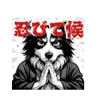 武士ボーダーコリーが参る！（個別スタンプ：25）