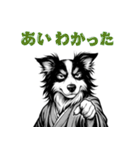 武士ボーダーコリーが参る！（個別スタンプ：28）