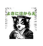 武士ボーダーコリーが参る！（個別スタンプ：30）