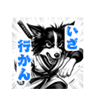 武士ボーダーコリーが参る！（個別スタンプ：32）