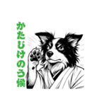 武士ボーダーコリーが参る！（個別スタンプ：33）