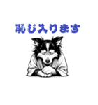 武士ボーダーコリーが参る！（個別スタンプ：34）