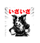 武士ボーダーコリーが参る！（個別スタンプ：35）