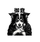 武士ボーダーコリーが参る！（個別スタンプ：36）