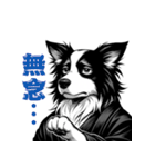 武士ボーダーコリーが参る！（個別スタンプ：38）