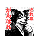 武士ボーダーコリーが参る！（個別スタンプ：39）