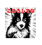 武士ボーダーコリーが参る！（個別スタンプ：40）